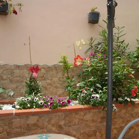 73 Camino La Sabina Gasthof Icod De Los Vinos